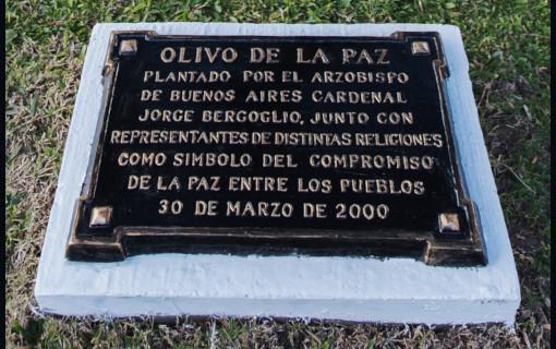 olivo