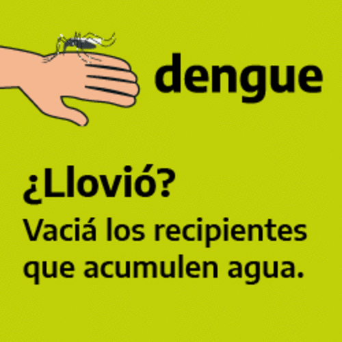 dengue
