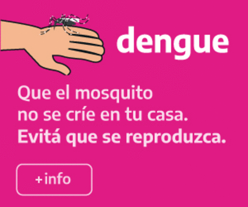 dengue