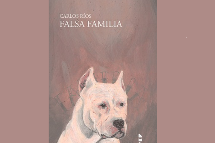 falsa familia