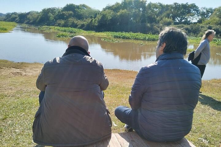 Festival arroyo leyes