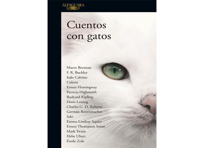 cuentos con gatos