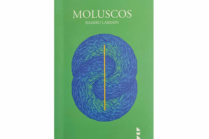 moluscos