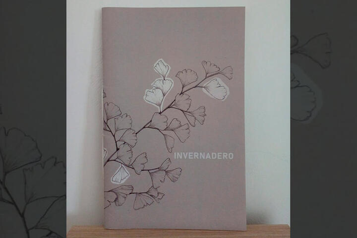 libro poemas