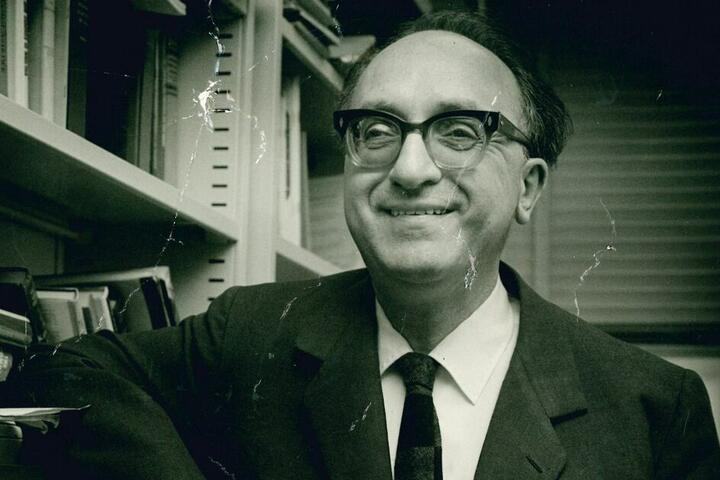 Gino Germani
