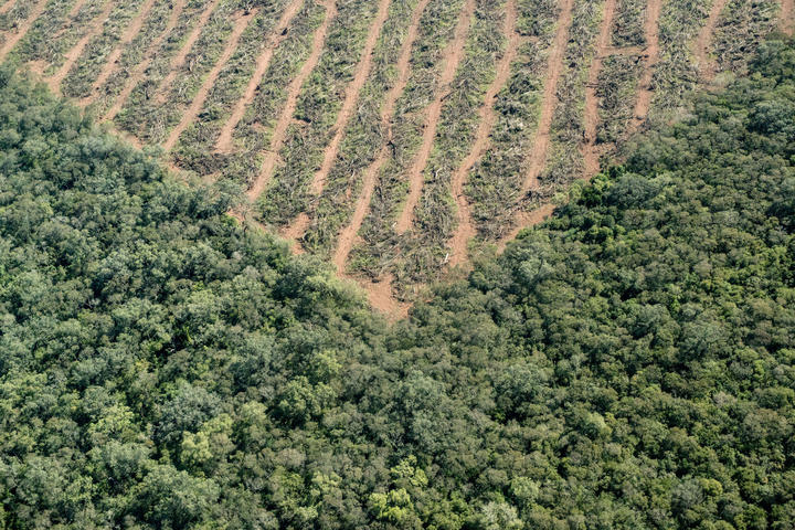 Medidas que toma Argentina contra el cambio climático