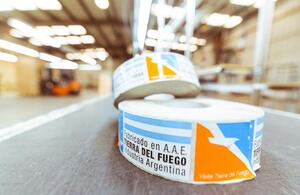 Debate sobre el regimen especial de Tierra del Fuego