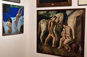 Museo Nacional de Bellas Artes - Matías Iesari