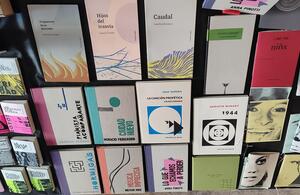 Libros Volcán de Agua