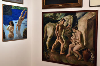 Museo Nacional de Bellas Artes - Matías Iesari