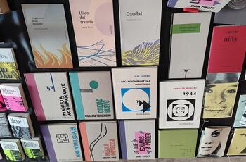 Libros Volcán de Agua