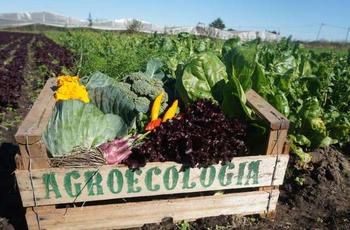 Debate sobre agricultura con agroquímicos y agroecología