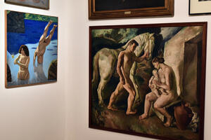 Museo Nacional de Bellas Artes - Matías Iesari