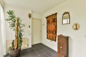Plantas para interior