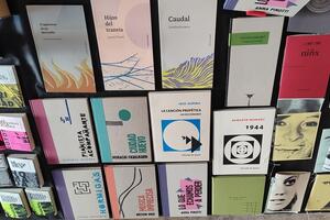 Libros Volcán de Agua