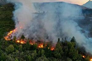 Incendios: ¿Por qué?