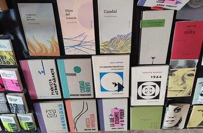 Libros Volcán de Agua