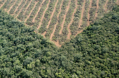 Medidas que toma Argentina contra el cambio climático