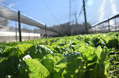 Debate sobre la agroecología