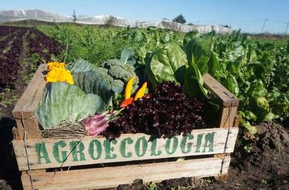 Debate sobre agricultura con agroquímicos y agroecología